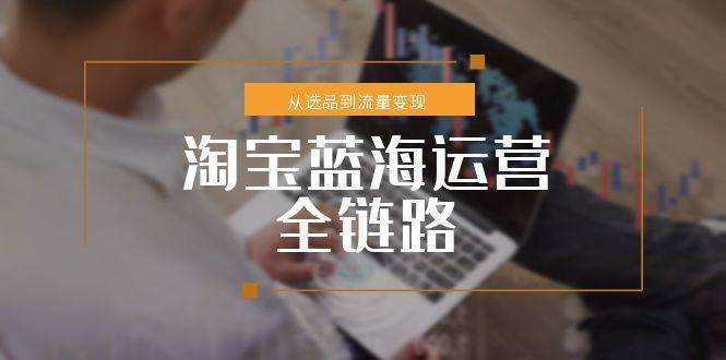 (6.21)淘宝蓝海运营全链路，从选品到流量变现，小类目突围完整方案