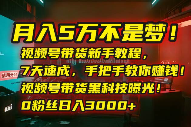 (8.6)月入5万不是梦！视频号带货新手教程，7天速成，手把手教你赚钱！视频号